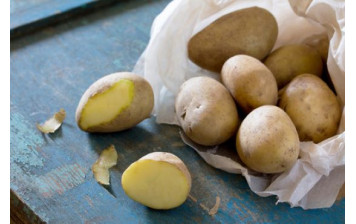 Pommes de terre Agria BIO...